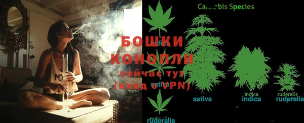 бошки Надым