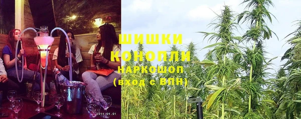 сатива Навашино