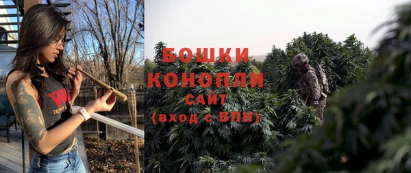 бошки Надым