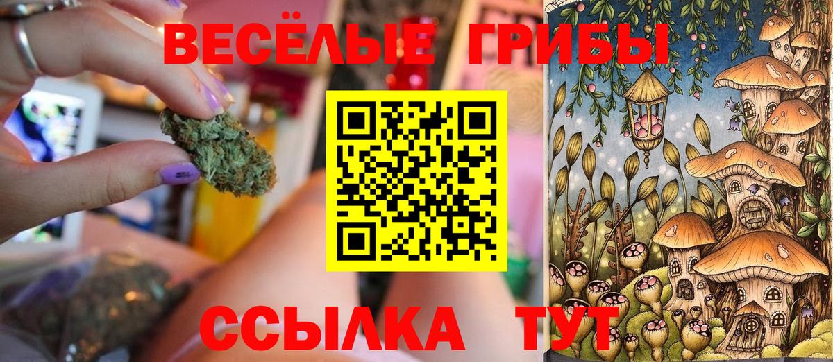 Галлюциногенные грибы MAGIC MUSHROOMS Новочеркасск