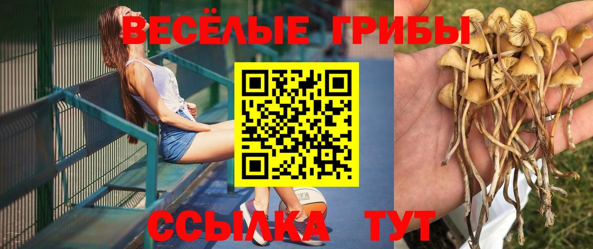 Псилоцибиновые грибы мухоморы  Вход с VPN  Новочеркасск 